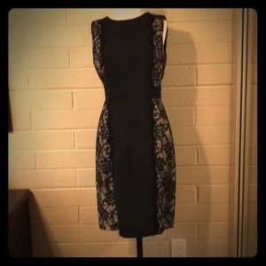 Jcrew factory lace inset dress